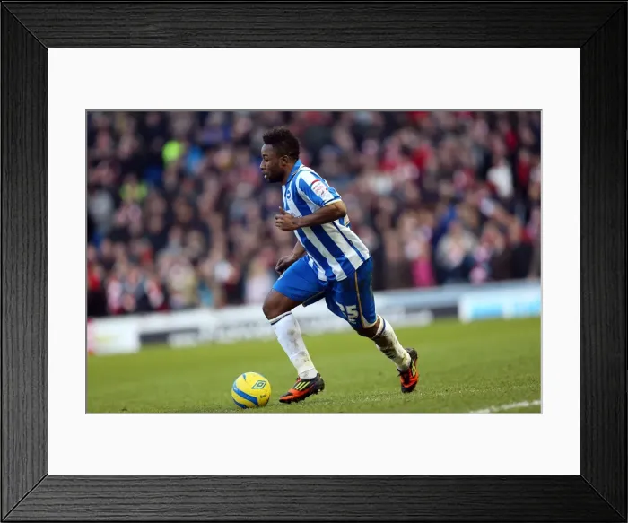 Framed Print : Brighton & Hove Albion vs Arsenal: 2012-13 Home Game Framed Print : Brighton & Hove Albion vs Arsenal: 2012-13 Home Game