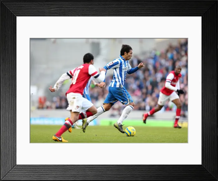 Framed Print : Brighton & Hove Albion vs Arsenal: 2012-13 Home Game Framed Print : Brighton & Hove Albion vs Arsenal: 2012-13 Home Game