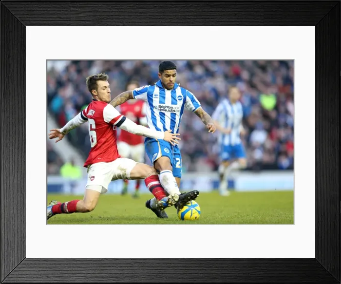 Framed Print : Brighton & Hove Albion vs. Arsenal: 2012-13 Home Game Framed Print : Brighton & Hove Albion vs. Arsenal: 2012-13 Home Game