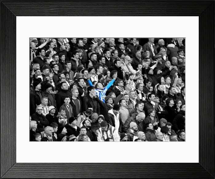 Framed Print : Brighton & Hove Albion vs. Arsenal (2012-13 Home Game)