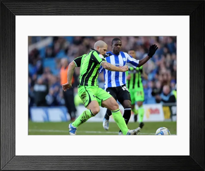 Framed Print : Brighton & Hove Albion's Adam El-Abd Clears the Ball at Sheffield Wednesday, February 2013 Framed Print : Brighton & Hove Albion's Adam El-Abd Clears the Ball at Sheffield Wednesday, February 2013