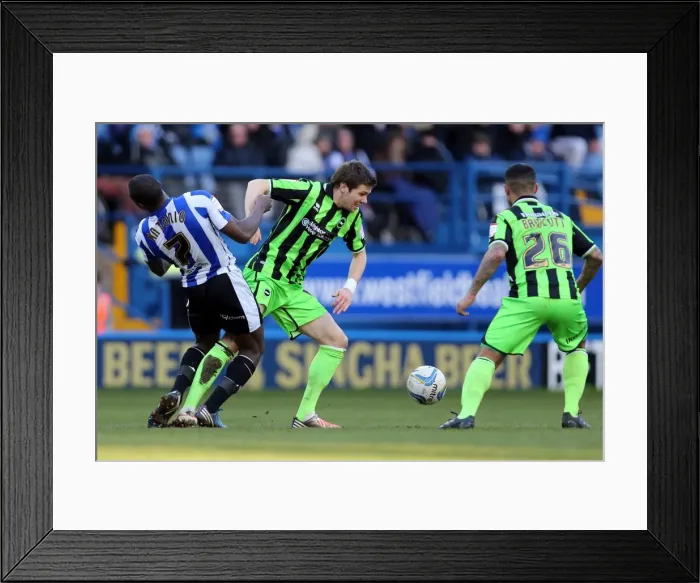 Framed Print : Dean Hammond Wins the Ball: Sheffield Wednesday vs. Brighton & Hove Albion, Npower Championship, February 2013 Framed Print : Dean Hammond Wins the Ball: Sheffield Wednesday vs. Brighton & Hove Albion, Npower Championship, February 2013