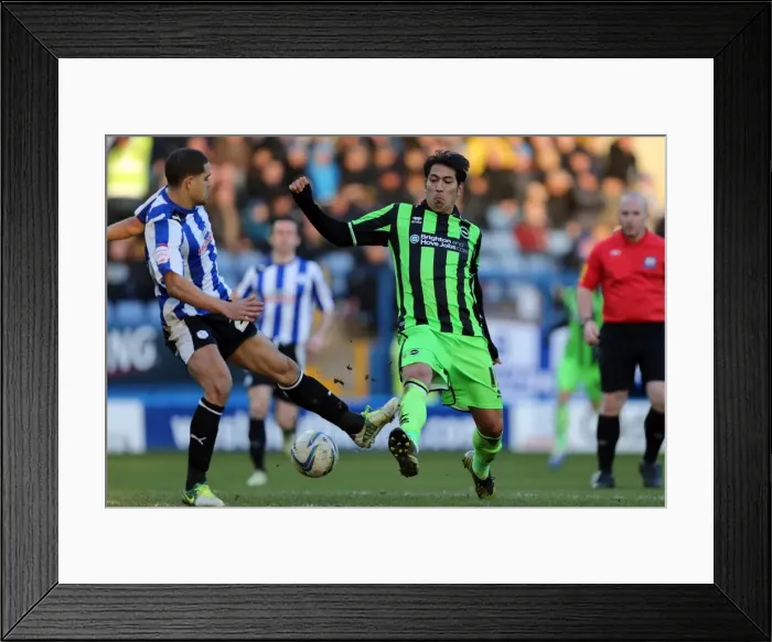 Framed Print : Brighton & Hove Albion vs Sheffield Wednesday: Leonardo Ulloa in Action, Npower Championship, February 2013 Framed Print : Brighton & Hove Albion vs Sheffield Wednesday: Leonardo Ulloa in Action, Npower Championship, February 2013