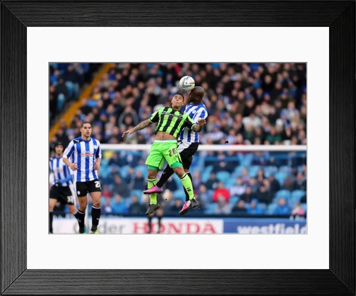 Framed Print : Brighton & Hove Albion's Liam Bridcutt Wins Heading Over Sheffield Wednesday, Championship Clash - February 2, 2013 Framed Print : Brighton & Hove Albion's Liam Bridcutt Wins Heading Over Sheffield Wednesday, Championship Clash - February 2, 2013