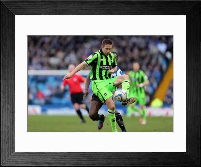 Framed Print : Matthew Upson's Debut for Brighton & Hove Albion against Sheffield Wednesday, February 2013 Framed Print : Matthew Upson's Debut for Brighton & Hove Albion against Sheffield Wednesday, February 2013