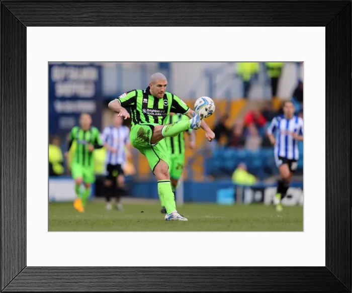 Framed Print : Brighton & Hove Albion's Adam El-Abd Saves the Day: Clearing the Ball at Sheffield Wednesday, February 2013