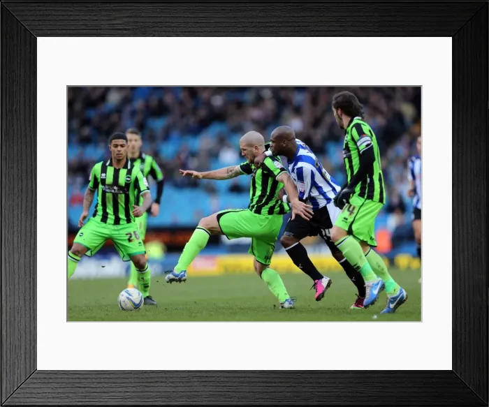 Framed Print : Defender Adam El-Abd of Brighton & Hove Albion Protecting the Goal Against Sheffield Wednesday - February 2, 2013 Framed Print : Defender Adam El-Abd of Brighton & Hove Albion Protecting the Goal Against Sheffield Wednesday - February 2, 2013