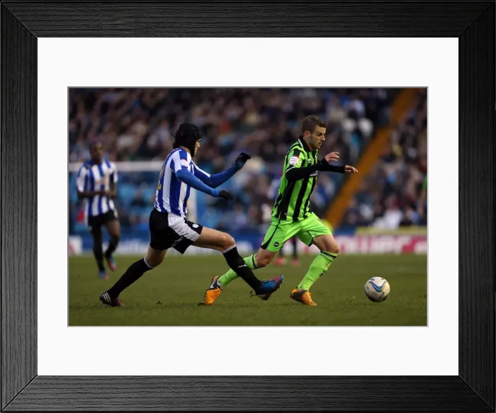 Framed Print : Andrea Orlandi in Action: Sheffield Wednesday vs. Brighton & Hove Albion, Npower Championship, February 2, 2013 Framed Print : Andrea Orlandi in Action: Sheffield Wednesday vs. Brighton & Hove Albion, Npower Championship, February 2, 2013