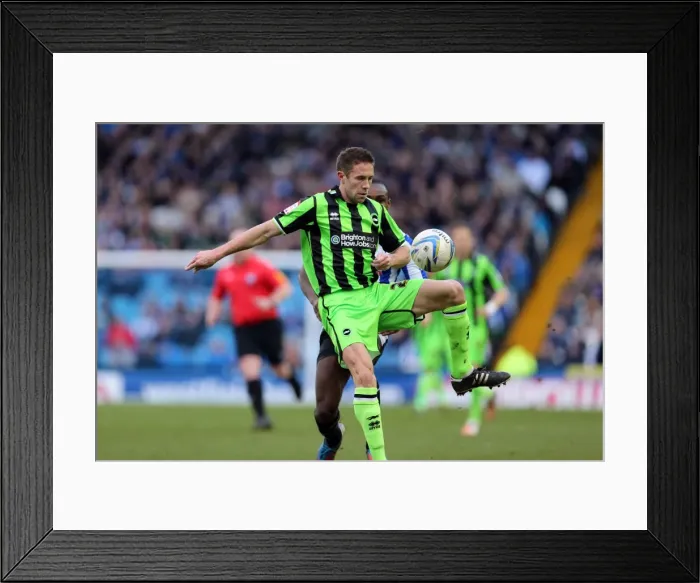 Framed Print : Matthew Upson Makes Debut: Brighton & Hove Albion vs Sheffield Wednesday, February 2nd, 2013 Framed Print : Matthew Upson Makes Debut: Brighton & Hove Albion vs Sheffield Wednesday, February 2nd, 2013