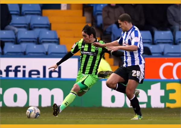 Vicente Leads Brighton & Hove Albion to Victory over Sheffield Wednesday, February 2, 2013