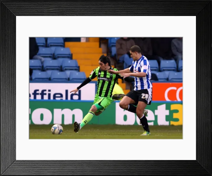 Framed Print : Vicente Leads Brighton & Hove Albion to Victory over Sheffield Wednesday, February 2, 2013 Framed Print : Vicente Leads Brighton & Hove Albion to Victory over Sheffield Wednesday, February 2, 2013