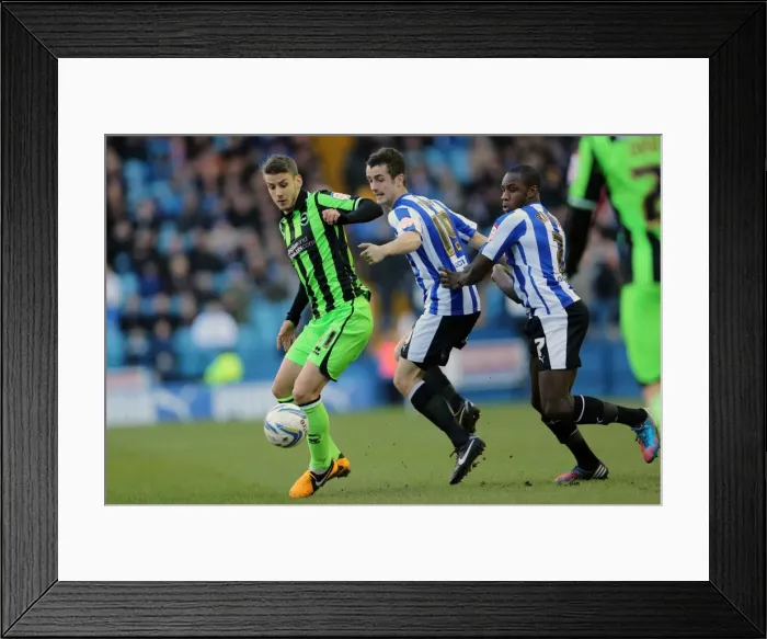 Framed Print : Sheffield Wednesday - 02-02-2013 Framed Print : Sheffield Wednesday - 02-02-2013