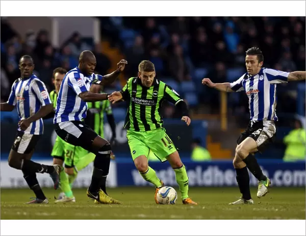 Brighton & Hove Albion: 2012-13 Away Game vs Sheffield Wednesday - 02-02-2013