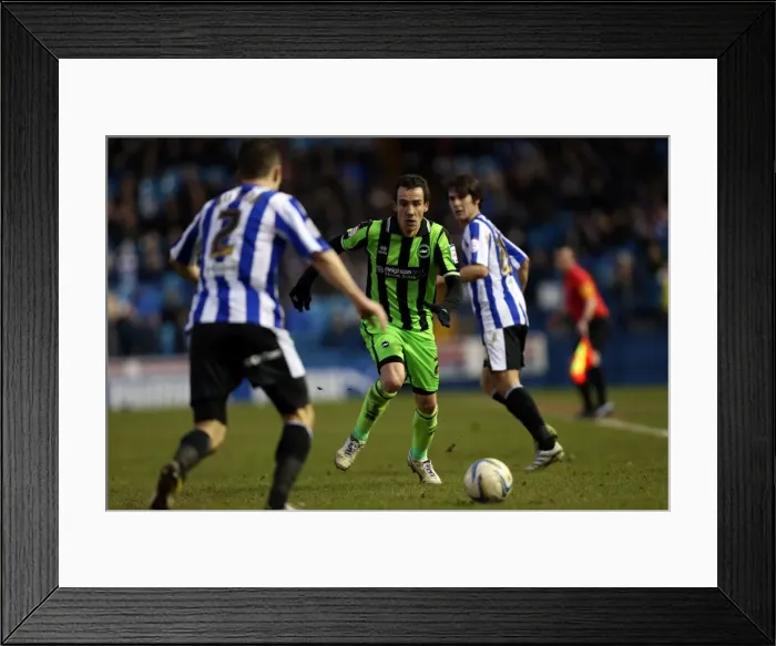 Framed Print : Brighton & Hove Albion vs Sheffield Wednesday: 2-2 Draw - February 2013 (Away) Framed Print : Brighton & Hove Albion vs Sheffield Wednesday: 2-2 Draw - February 2013 (Away)
