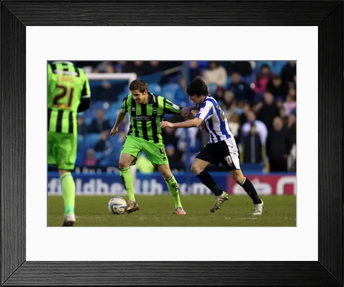 Framed Print : Brighton & Hove Albion vs Sheffield Wednesday (Away): 02-02-2013 - 2012-13 Season Framed Print : Brighton & Hove Albion vs Sheffield Wednesday (Away): 02-02-2013 - 2012-13 Season