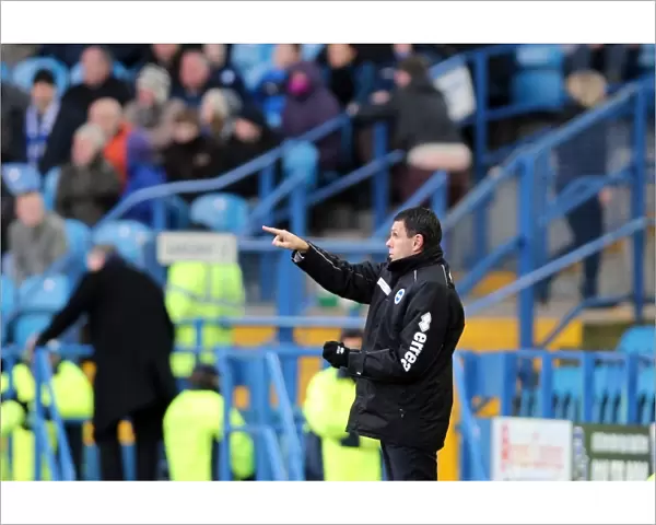 Brighton & Hove Albion vs Sheffield Wednesday: 2012-13 Season - Away Game Highlights: A Fight for Victory (Sheffield Wednesday - 02-02-2013)