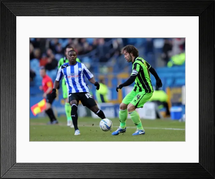 Framed Print : Brighton & Hove Albion vs Sheffield Wednesday: 2012-13 Away Game Framed Print : Brighton & Hove Albion vs Sheffield Wednesday: 2012-13 Away Game