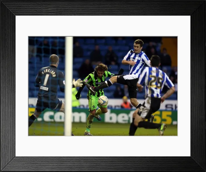 Framed Print : Brighton & Hove Albion vs Sheffield Wednesday: 2012-13 Away Game Framed Print : Brighton & Hove Albion vs Sheffield Wednesday: 2012-13 Away Game