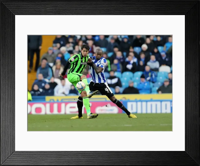 Framed Print : Brighton & Hove Albion Away at Sheffield Wednesday: 2012-13 Season Framed Print : Brighton & Hove Albion Away at Sheffield Wednesday: 2012-13 Season