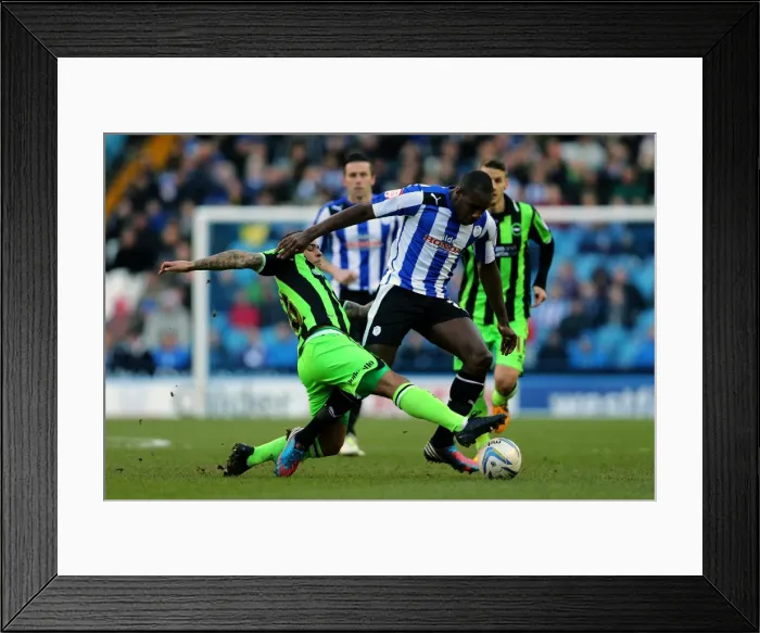 Framed Print : Brighton & Hove Albion vs. Sheffield Wednesday (Away) - 02-02-2013: Season 2012-13 Framed Print : Brighton & Hove Albion vs. Sheffield Wednesday (Away) - 02-02-2013: Season 2012-13