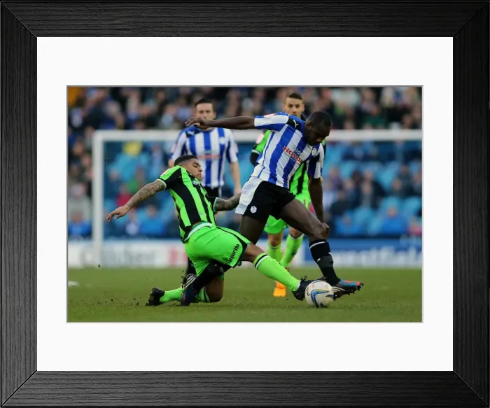 Framed Print : Brighton & Hove Albion at Sheffield Wednesday: 2012-13 Away Game Framed Print : Brighton & Hove Albion at Sheffield Wednesday: 2012-13 Away Game