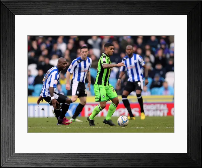 Framed Print : Brighton & Hove Albion vs. Sheffield Wednesday (Away) - 02-02-2013: 2012-13 Season Framed Print : Brighton & Hove Albion vs. Sheffield Wednesday (Away) - 02-02-2013: 2012-13 Season