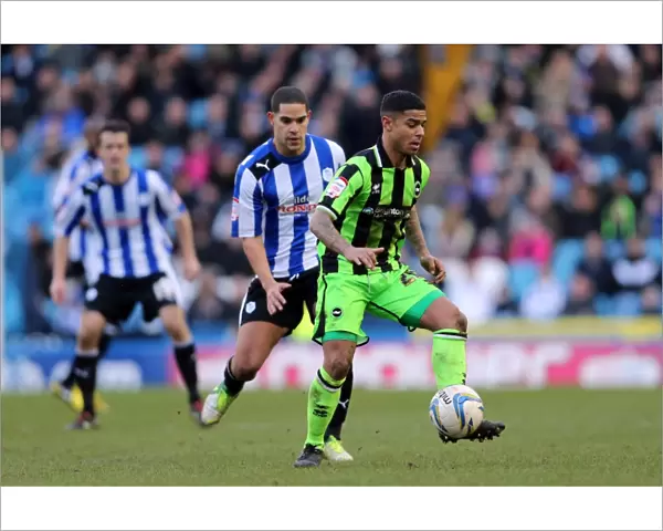 Brighton & Hove Albion vs. Sheffield Wednesday (Away): 02-02-2013 - Season 2012-13