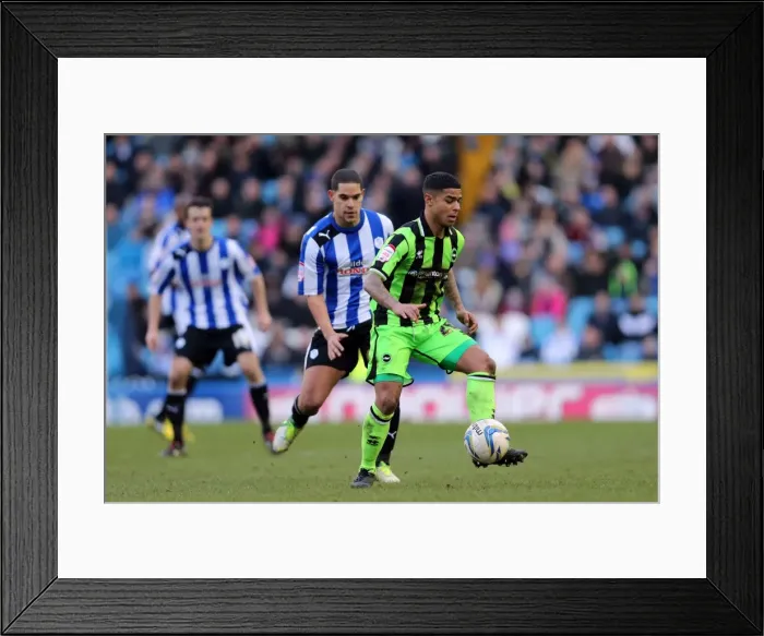 Framed Print : Brighton & Hove Albion vs. Sheffield Wednesday (Away): 02-02-2013 - Season 2012-13 Framed Print : Brighton & Hove Albion vs. Sheffield Wednesday (Away): 02-02-2013 - Season 2012-13