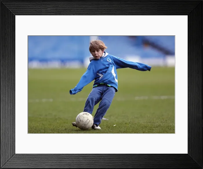 Framed Print : Brighton & Hove Albion vs Sheffield Wednesday: 2012-13 Away Game Framed Print : Brighton & Hove Albion vs Sheffield Wednesday: 2012-13 Away Game