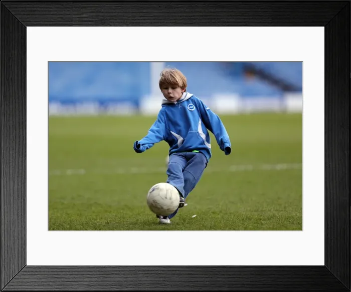 Framed Print : Brighton & Hove Albion vs Sheffield Wednesday: 2012-13 Away Game Framed Print : Brighton & Hove Albion vs Sheffield Wednesday: 2012-13 Away Game