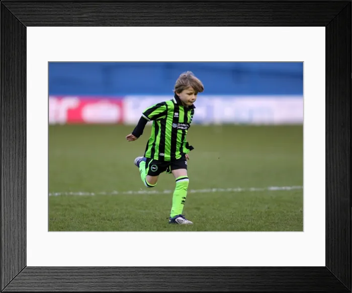 Framed Print : Brighton & Hove Albion vs. Sheffield Wednesday: 2012-13 Away Game Framed Print : Brighton & Hove Albion vs. Sheffield Wednesday: 2012-13 Away Game