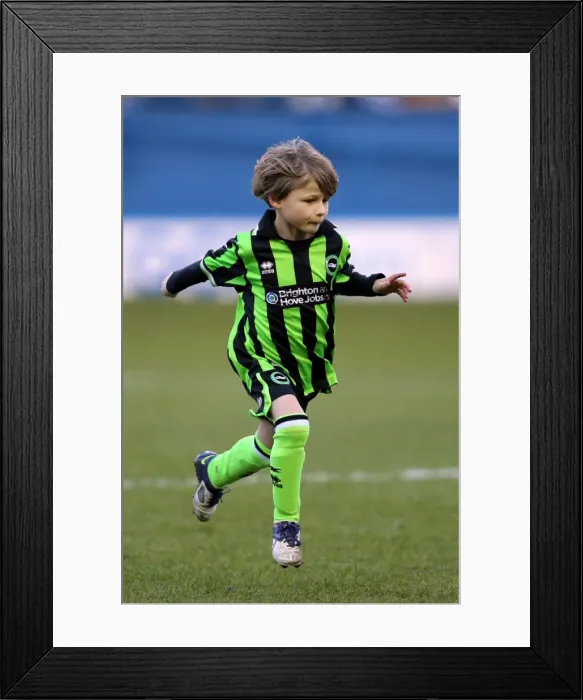 Framed Print : Brighton & Hove Albion vs. Sheffield Wednesday: 2012-13 Season - Away Game Framed Print : Brighton & Hove Albion vs. Sheffield Wednesday: 2012-13 Season - Away Game