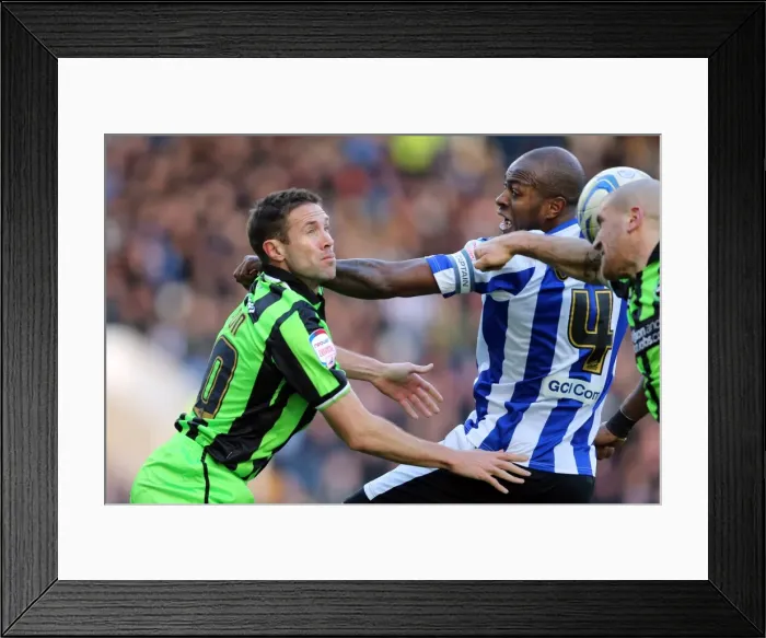Framed Print : Brighton & Hove Albion vs Sheffield Wednesday (Away) - 02-02-2013: Season 2012-13