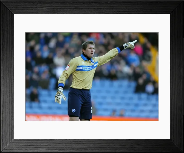 Framed Print : Brighton & Hove Albion vs. Sheffield Wednesday: A Fight for Victory (February 2, 2013) - 2012-13 Season: Away Game Highlights Framed Print : Brighton & Hove Albion vs. Sheffield Wednesday: A Fight for Victory (February 2, 2013) - 2012-13 Season: Away Game Highlights