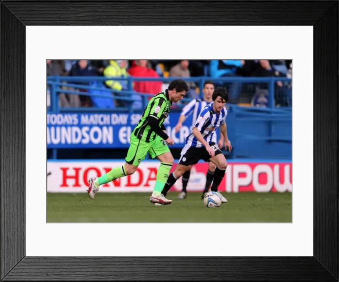 Framed Print : Fight for Victory: Brighton & Hove Albion vs Sheffield Wednesday (Away, 02-02-2013) Framed Print : Fight for Victory: Brighton & Hove Albion vs Sheffield Wednesday (Away, 02-02-2013)