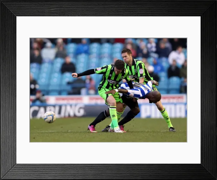Framed Print : Brighton & Hove Albion vs Sheffield Wednesday: 2012-13 Away Game Framed Print : Brighton & Hove Albion vs Sheffield Wednesday: 2012-13 Away Game