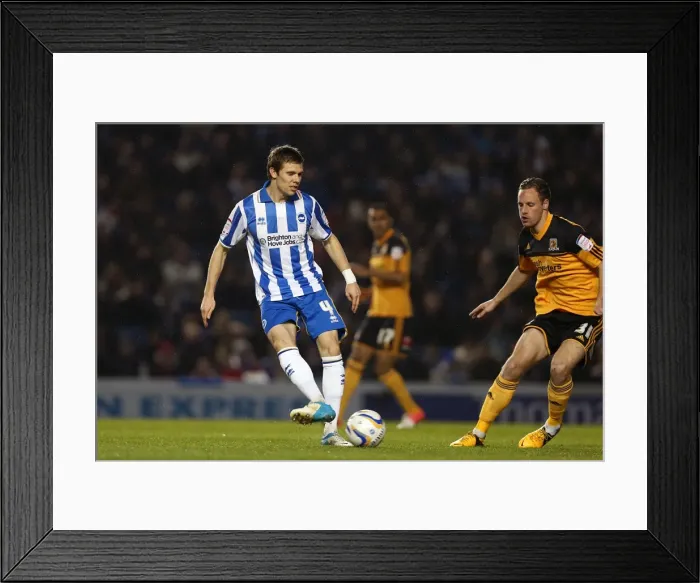 Framed Print : Brighton & Hove Albion vs Hull City: Dean Hammond Focuses in Npower Championship Match at Amex Stadium, February 9, 2013 Framed Print : Brighton & Hove Albion vs Hull City: Dean Hammond Focuses in Npower Championship Match at Amex Stadium, February 9, 2013