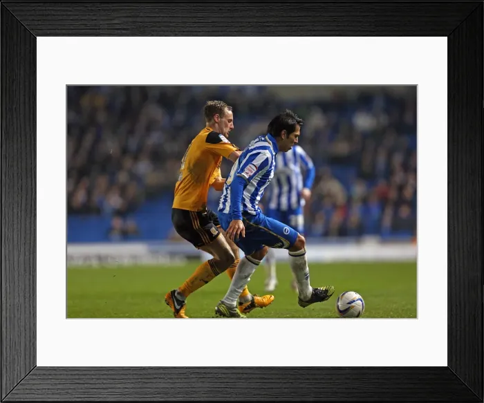 Framed Print : Leonardo Ulloa's Thrilling Performance: Brighton & Hove Albion vs Hull City, Npower Championship, February 9, 2013 Framed Print : Leonardo Ulloa's Thrilling Performance: Brighton & Hove Albion vs Hull City, Npower Championship, February 9, 2013