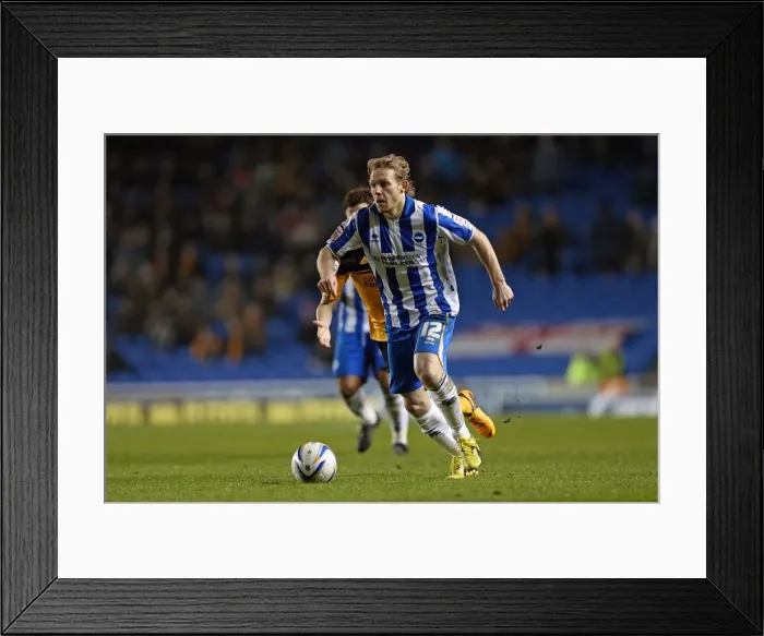 Framed Print : Craig Mackail-Smith in Action: Brighton & Hove Albion vs Hull City, Npower Championship, Amex Stadium (February 9, 2013) Framed Print : Craig Mackail-Smith in Action: Brighton & Hove Albion vs Hull City, Npower Championship, Amex Stadium (February 9, 2013)