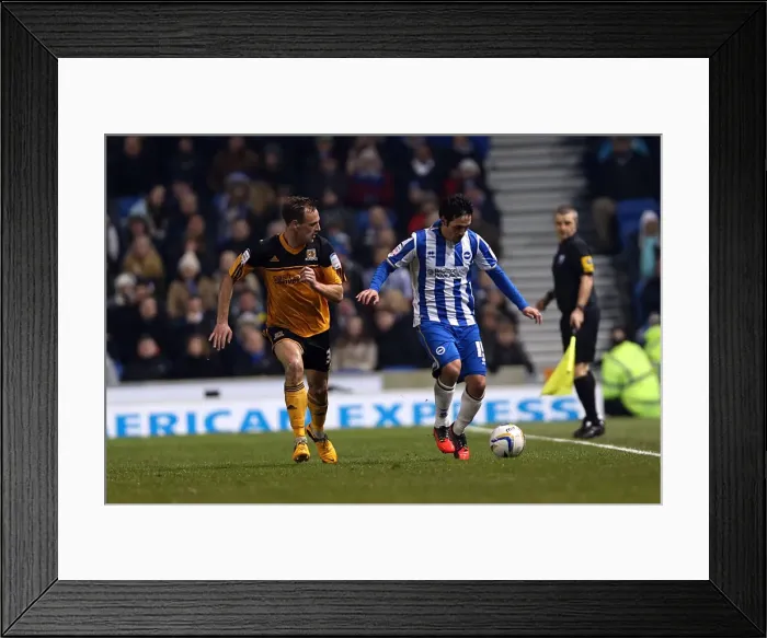 Framed Print : Vicente's Unforgettable Show: Brighton & Hove Albion vs Hull City, Npower Championship, February 9, 2013 Framed Print : Vicente's Unforgettable Show: Brighton & Hove Albion vs Hull City, Npower Championship, February 9, 2013