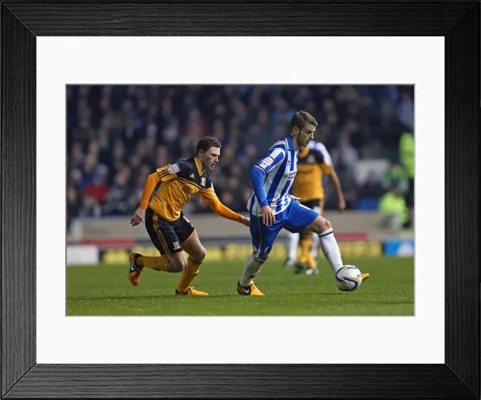 Framed Print : Andrea Orlandi in Action for Brighton & Hove Albion vs. Hull City, Npower Championship, February 9, 2013
