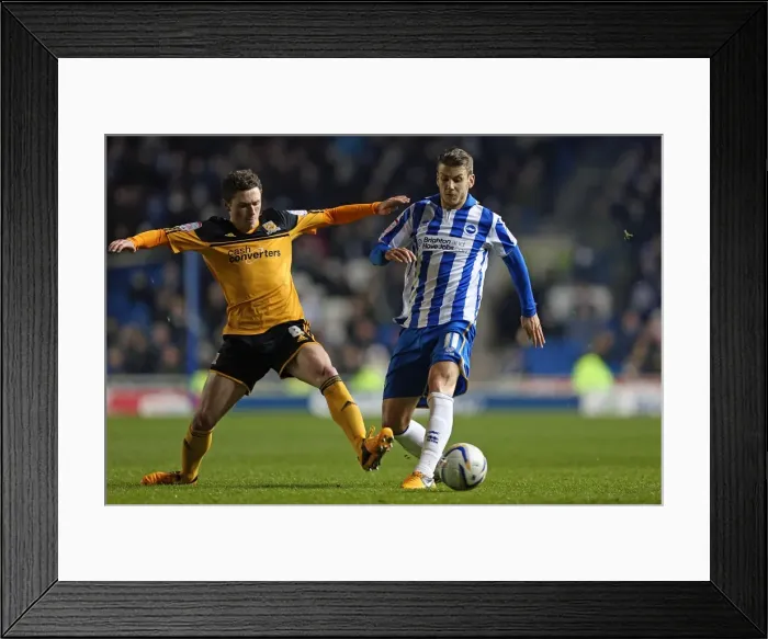 Framed Print : Andrea Orlandi's Focus: Brighton & Hove Albion vs Hull City, Npower Championship (February 9, 2013) Framed Print : Andrea Orlandi's Focus: Brighton & Hove Albion vs Hull City, Npower Championship (February 9, 2013)