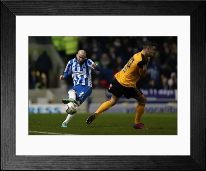 Framed Print : Bruno in Action: Brighton & Hove Albion vs. Hull City, Npower Championship, Amex Stadium, February 9, 2013 Framed Print : Bruno in Action: Brighton & Hove Albion vs. Hull City, Npower Championship, Amex Stadium, February 9, 2013