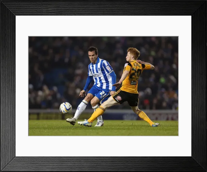 Framed Print : David Lopez Concentrates: Brighton & Hove Albion vs Hull City, Npower Championship (February 9, 2013) Framed Print : David Lopez Concentrates: Brighton & Hove Albion vs Hull City, Npower Championship (February 9, 2013)
