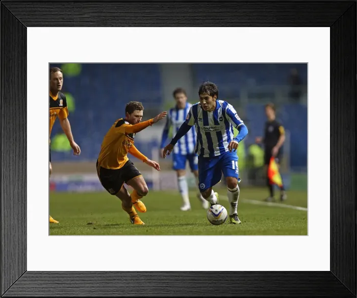 Framed Print : Leonardo Ulloa's Focus: Brighton & Hove Albion vs Hull City, Npower Championship (February 9, 2013) Framed Print : Leonardo Ulloa's Focus: Brighton & Hove Albion vs Hull City, Npower Championship (February 9, 2013)