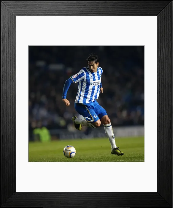 Framed Print : Focused Leonardo Ulloa: Brighton & Hove Albion vs Hull City, Npower Championship Showdown at Amex Stadium (February 9, 2013) Framed Print : Focused Leonardo Ulloa: Brighton & Hove Albion vs Hull City, Npower Championship Showdown at Amex Stadium (February 9, 2013)