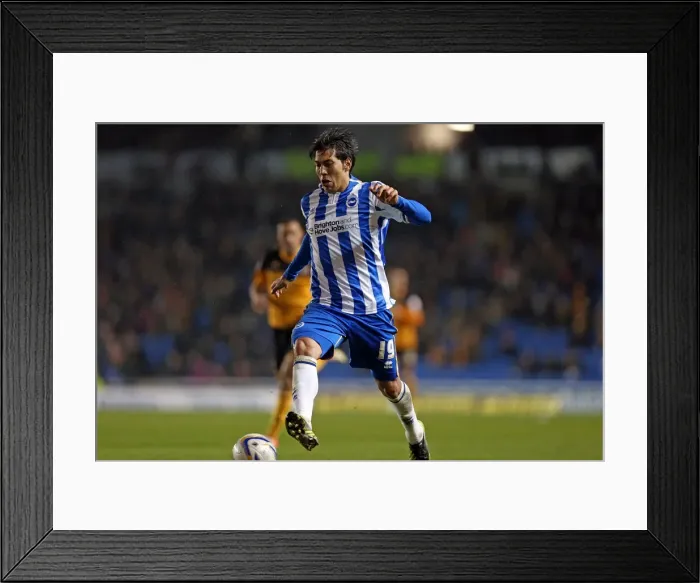 Framed Print : Leonardo Ulloa's Determination: Brighton & Hove Albion vs Hull City, Npower Championship (February 9, 2013) Framed Print : Leonardo Ulloa's Determination: Brighton & Hove Albion vs Hull City, Npower Championship (February 9, 2013)