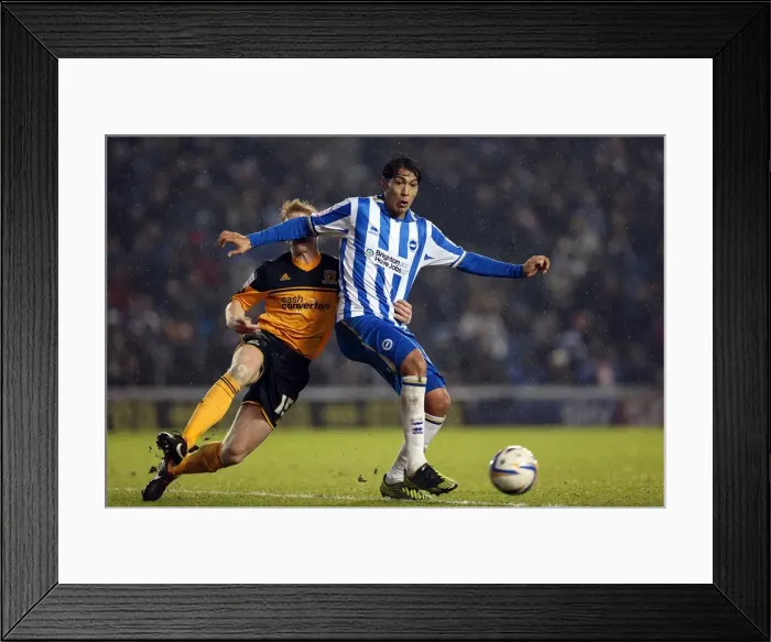 Framed Print : Leonardo Ulloa's Unforgettable Show: Brighton & Hove Albion vs Hull City, Npower Championship, February 9, 2013 Framed Print : Leonardo Ulloa's Unforgettable Show: Brighton & Hove Albion vs Hull City, Npower Championship, February 9, 2013