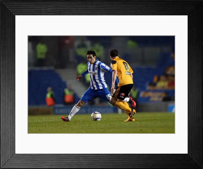 Framed Print : Vicente's Action-Packed Performance: Brighton & Hove Albion vs Hull City, Npower Championship, Amex Stadium (February 9, 2013) Framed Print : Vicente's Action-Packed Performance: Brighton & Hove Albion vs Hull City, Npower Championship, Amex Stadium (February 9, 2013)