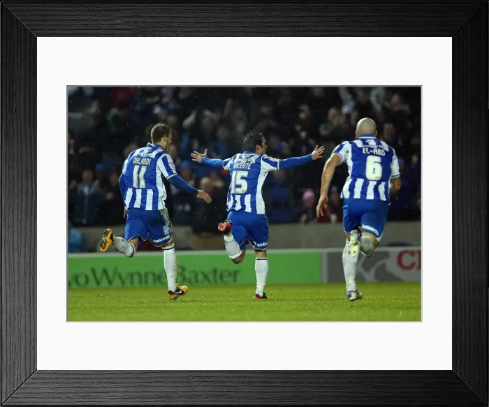 Framed Print : Vicente's Free Kick: Brighton Takes 1-0 Lead Over Hull City (February 9, 2013) Framed Print : Vicente's Free Kick: Brighton Takes 1-0 Lead Over Hull City (February 9, 2013)